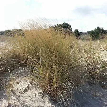 아파트 Ferienwohnung Stranddune 12-am Strand *